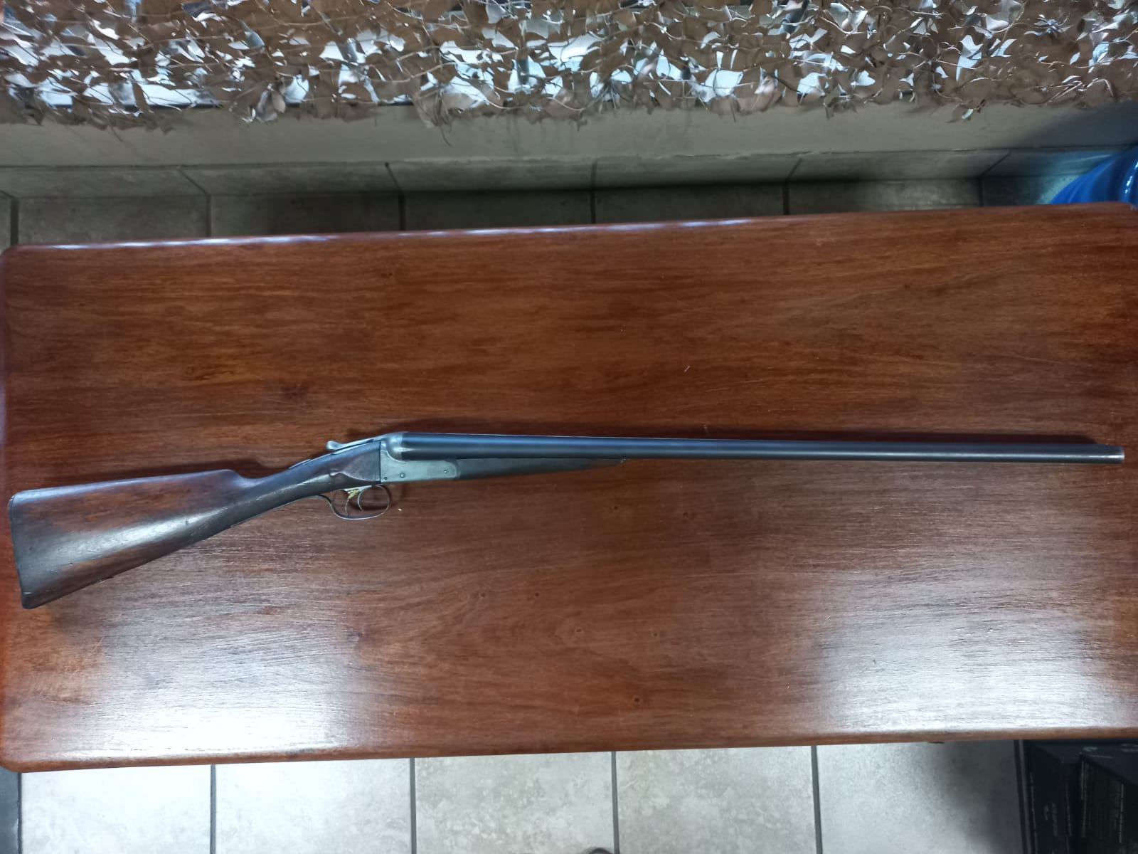 12Br S/S J Lang & Co Shotgun