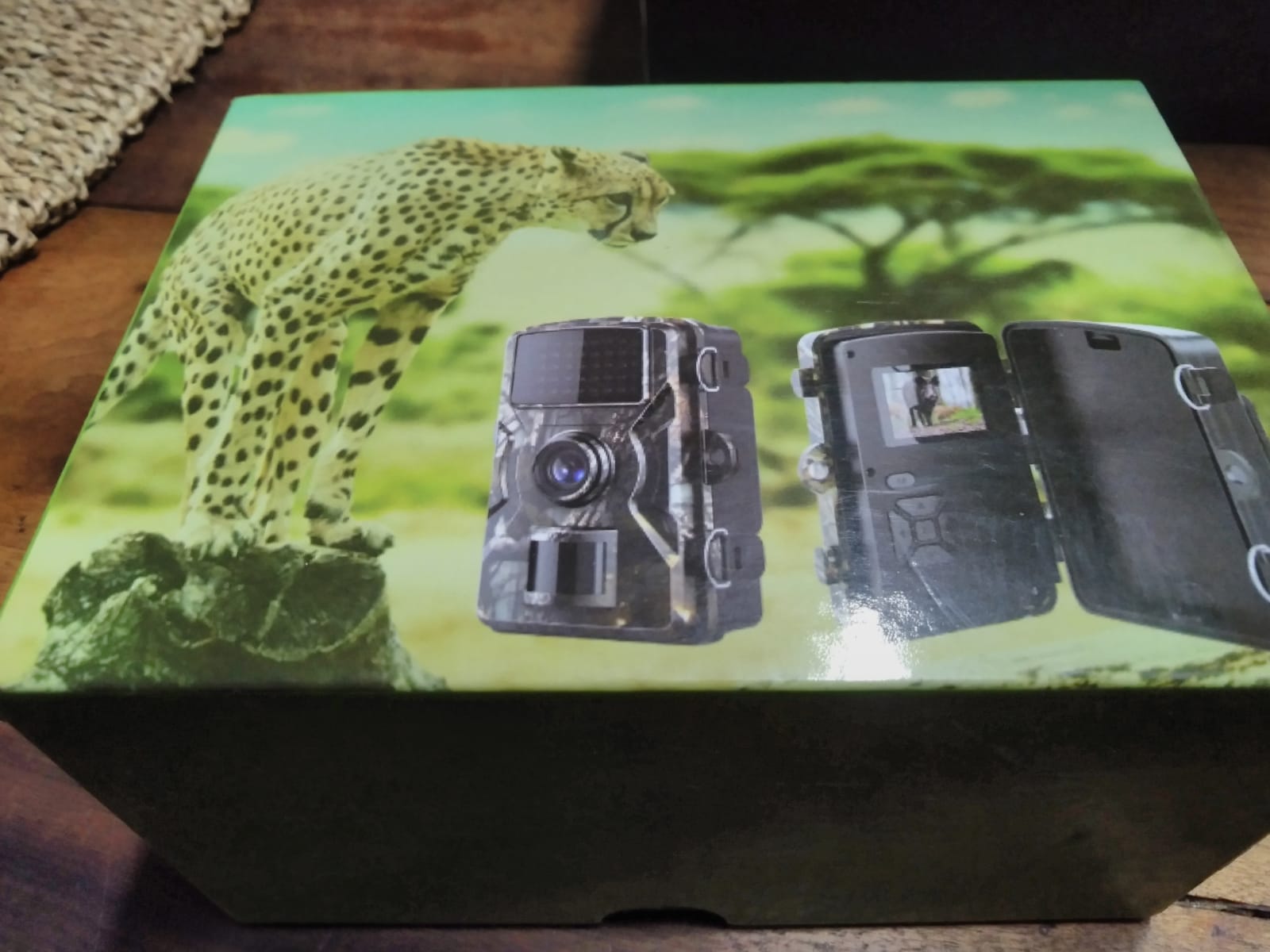 16MP Trail Camera