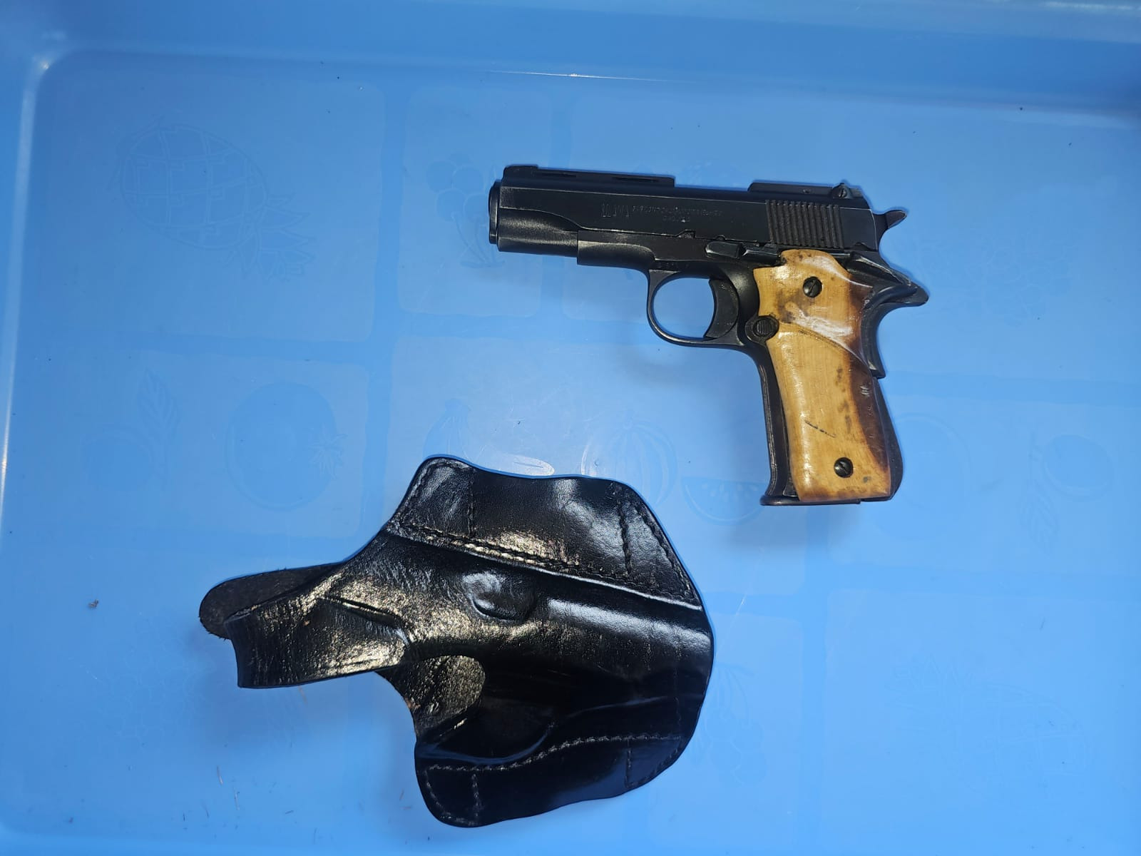 Llama .32 ACP