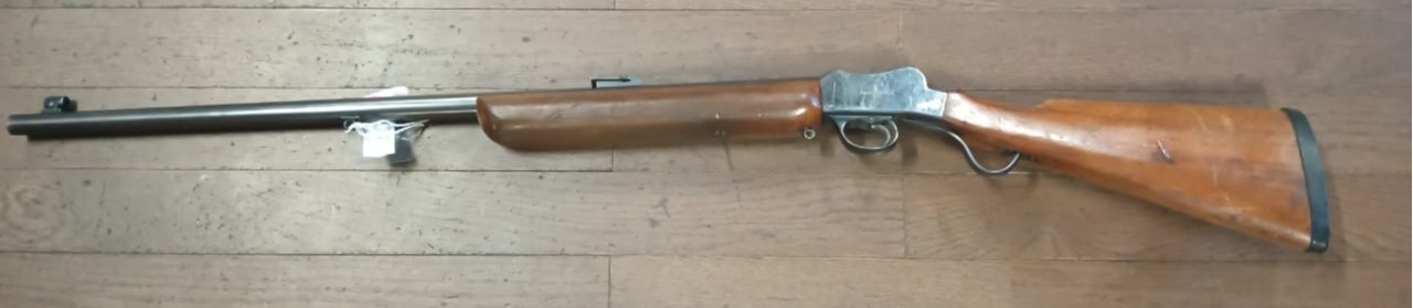 BSA 22LR