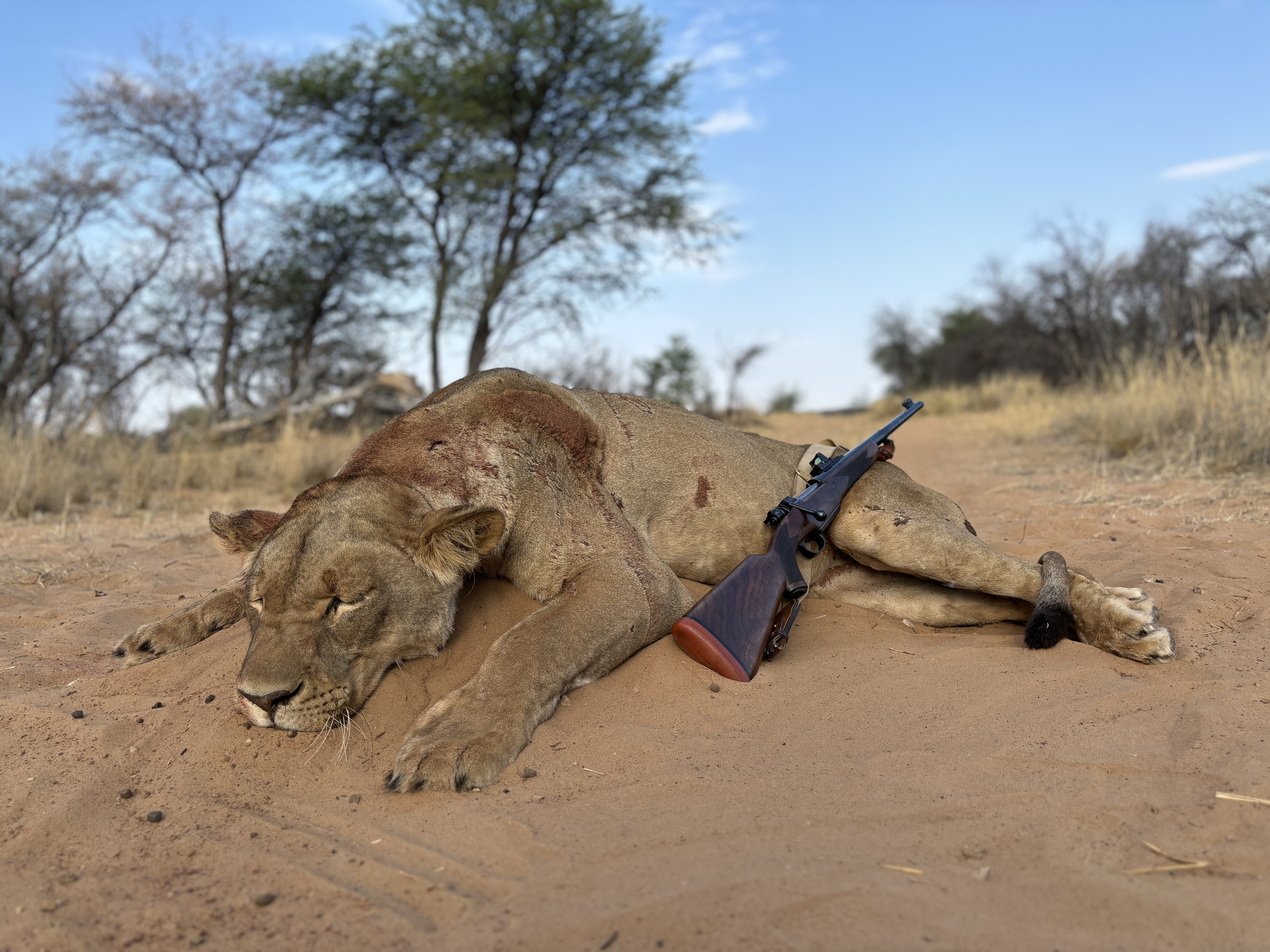 Rigby SSB 416 - Image 11