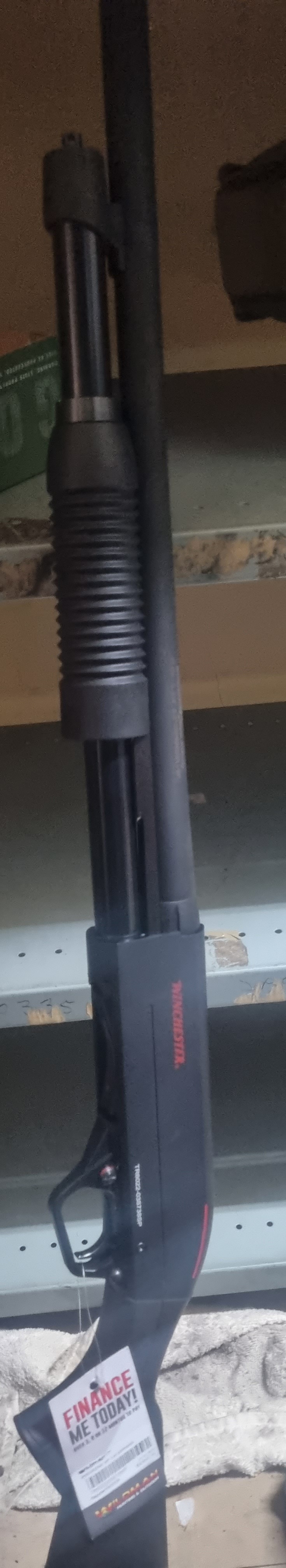 Winchester Shotgun