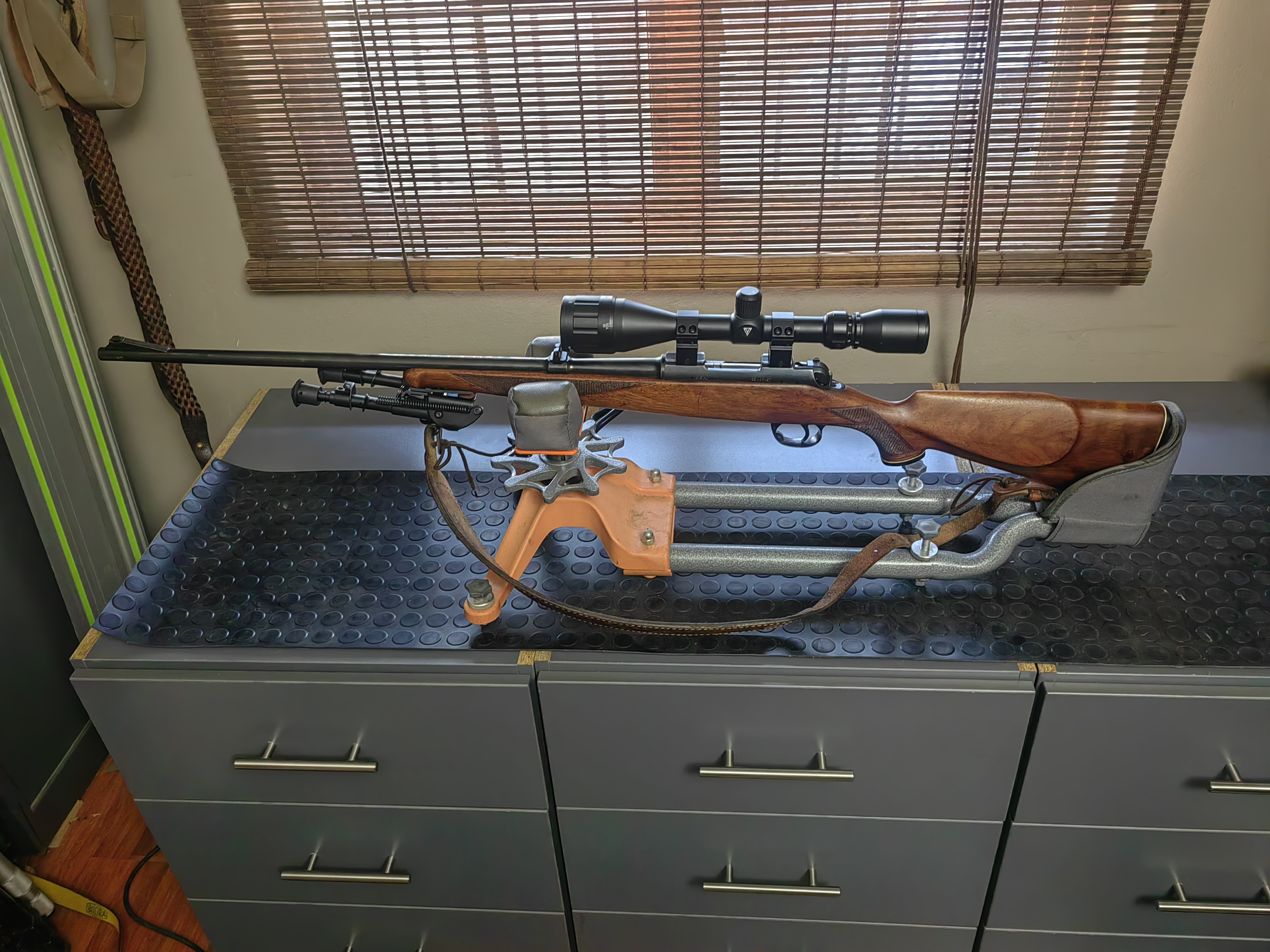 22Hornet