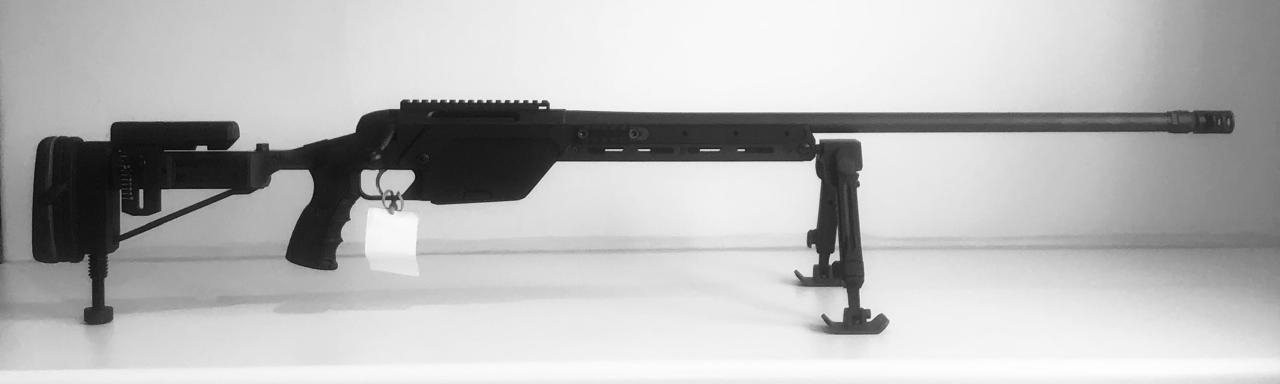Steyr Mannlicher 338 Lapua SBS-SSG 08