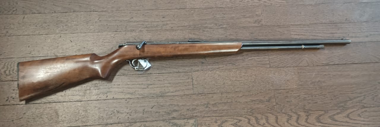 REMINGTON 22