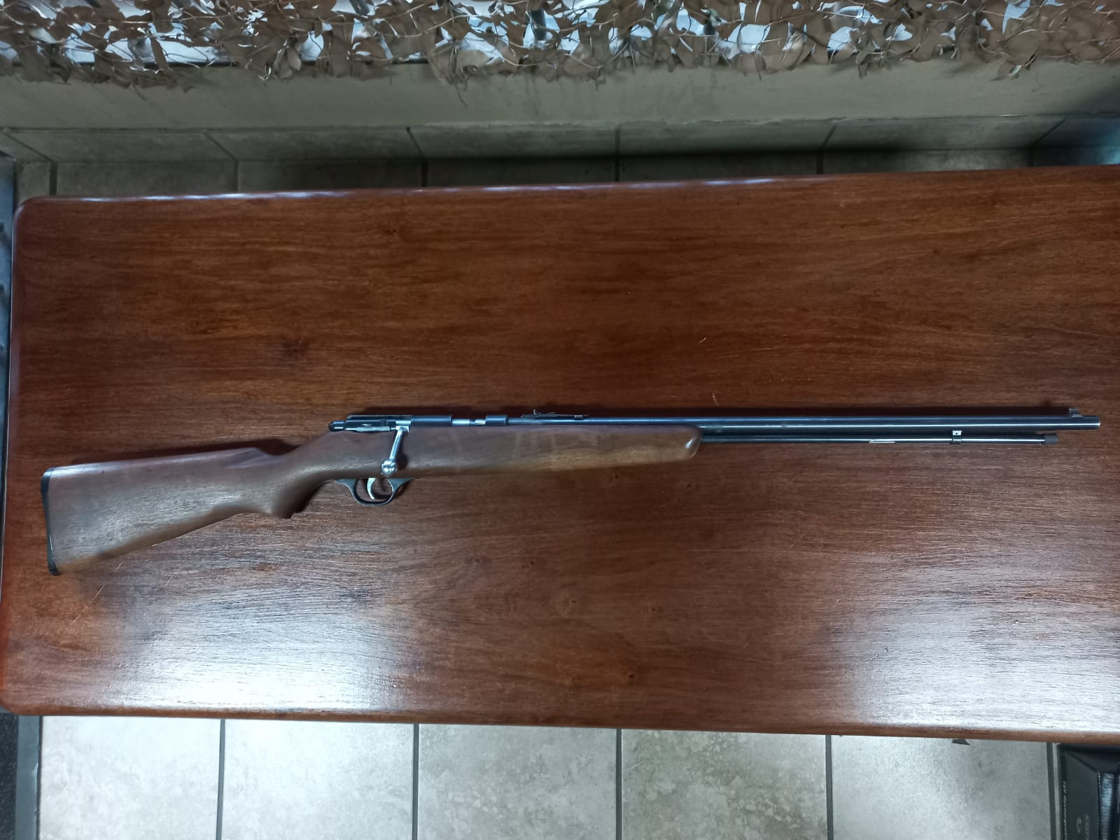 .22 LR Marlin Rifle